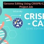 Genome Editing Using CRISPR/Cas9 Project Job – Biotech/ Microbiology Apply CSIR-IHBT Microbiology