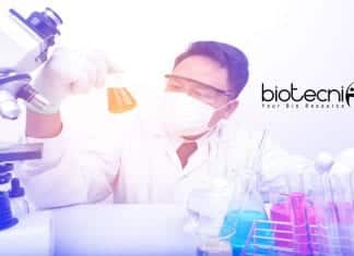 CSIR-IICB Biotechnology Research Fellow