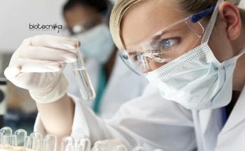 CSIR-IICB Project Jobs