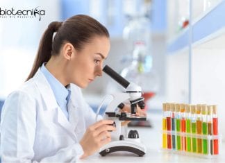 Central University of Punjab MSc Life Science Junior Research Fellow Job CUP MSc Life Science