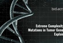 Scientists Explain Extreme Complexity of Mutations in Tumor Genome Cancer Genomic Complexity
