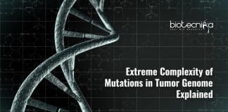 Cancer Genomic Complexity