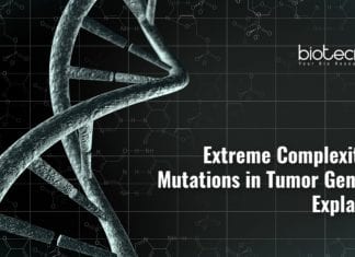 Cancer Genomic Complexity