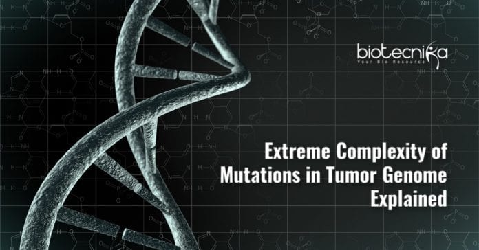 Cancer Genomic Complexity