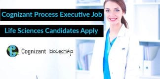 Cognizant Process Executive Job
