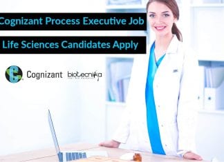 Cognizant Process Executive Job