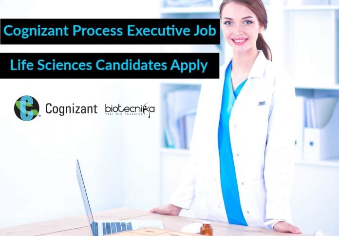 Cognizant Process Executive Job