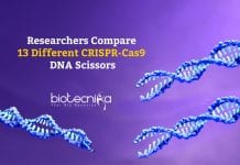 Comparing 13 Different CRISPR-Cas9 DNA Scissors Comparing CRISPR-Cas9 DNA Scissors