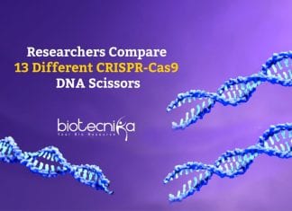 Comparing CRISPR-Cas9 DNA Scissors