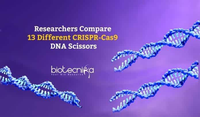 Comparing CRISPR-Cas9 DNA Scissors
