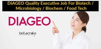 DIAGEO Quality Executive Job