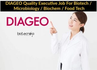 DIAGEO Quality Executive Job