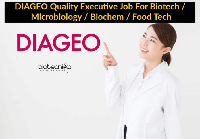DIAGEO Quality Executive Job