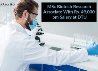 Delhi Technological University Jobs