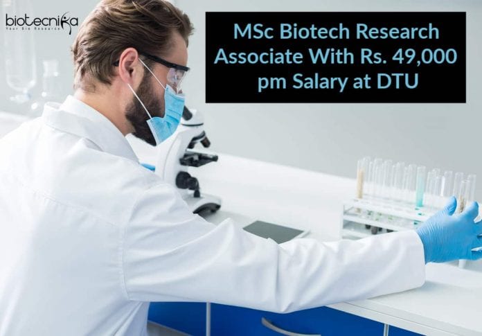 Delhi Technological University Jobs