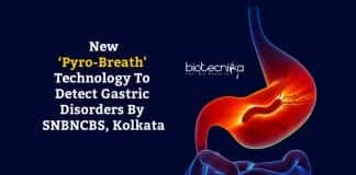 Detecting Gastric Disorders from Breath
