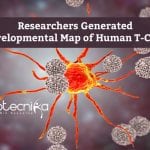 Developmental Map of Human T-Cells 