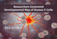 Developmental Map of Human T-Cells 