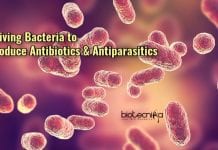 Bacteria Can Now Be Stimulated To Produce Antibiotic & Antiparasitic Compounds Driving Bacteria to Produce Antibiotics