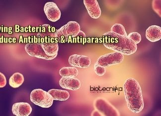 Driving Bacteria to Produce Antibiotics