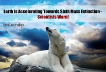 Earth accelerating towards sixth mass extinction