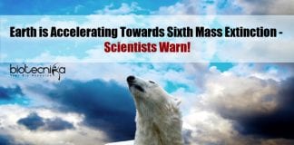 Earth accelerating towards sixth mass extinction
