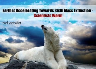 Earth is Accelerating Towards Sixth Mass Extinction – Scientists Warn! Earth accelerating towards sixth mass extinction