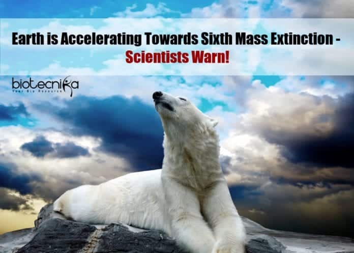 Earth accelerating towards sixth mass extinction