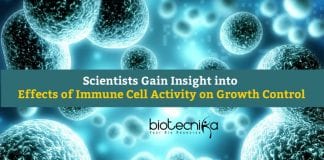 Effects of Immune Cell Activity On Growth Control