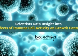 Effects of Immune Cell Activity On Growth Control