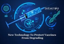 Silica Cage To Prevent Vaccines From Degrading During Transportation Ensilicating Vaccines to Prevent Degradation