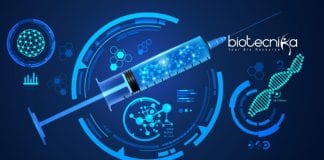 Ensilicating Vaccines to Prevent Degradation