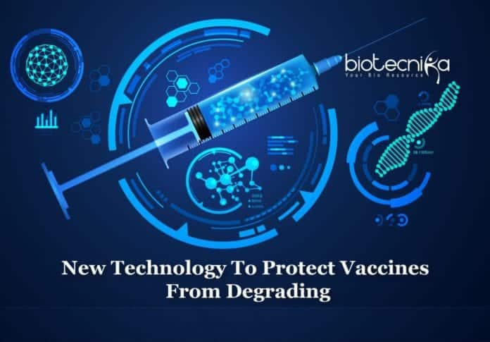 Ensilicating Vaccines to Prevent Degradation