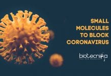 COVID-19: US Scientists Discover Small Molecules To Block Coronavirus Small molecules to block coronavirus
