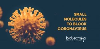Small molecules to block coronavirus 