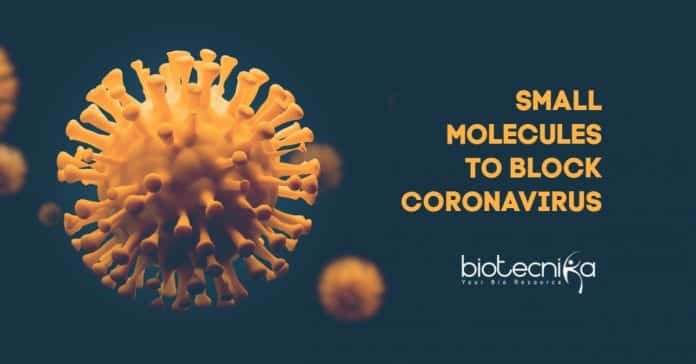 Small molecules to block coronavirus 