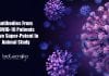 Antibodies From COVID-19 Patients Prove Super-Potent In Animal Study human antibodies against COVID-19