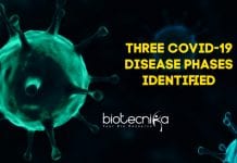 Three COVID-19 Disease Phases Identified By Researchers 3 COVID-19 Disease Phases