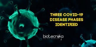 3 COVID-19 Disease Phases