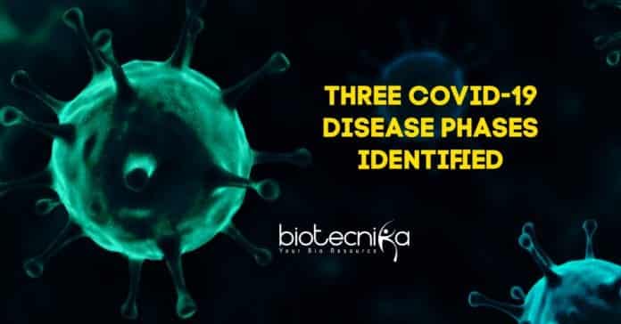 3 COVID-19 Disease Phases