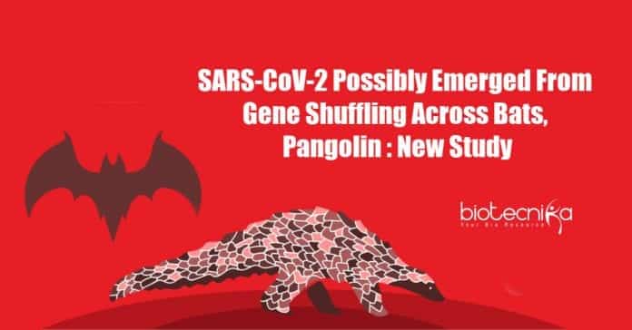 SARS-CoV-2 Emergence from Gene Shuffling
