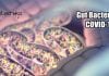 Do Gut bacteria Play Any Role In COVID-19? Relationship Between COVID-19 And Gut Bacteria