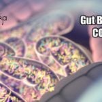 Relationship Between COVID-19 And Gut Bacteria