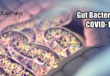 Do Gut bacteria Play Any Role In COVID-19? Relationship Between COVID-19 And Gut Bacteria