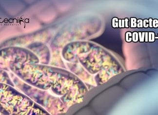 Relationship Between COVID-19 And Gut Bacteria