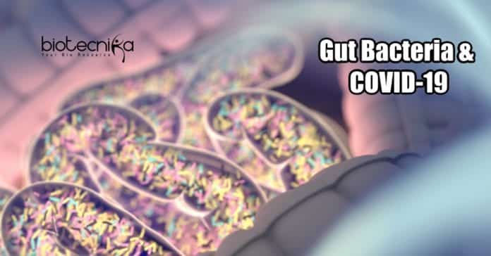 Relationship Between COVID-19 And Gut Bacteria