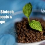 MSc Plant Biotechnology Career