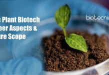 MSc Plant Biotechnology Career Aspects & Future Scope MSc Plant Biotechnology Career