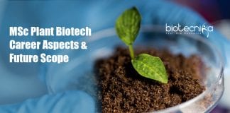 MSc Plant Biotechnology Career