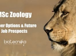 Career Options After MSc Zoology